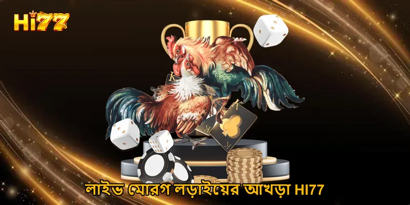 লাইভ মোরগ লড়াইয়ের আখড়া HI77